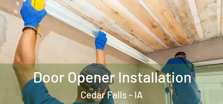 Door Opener Installation Cedar Falls - IA