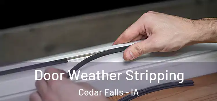 Door Weather Stripping Cedar Falls - IA