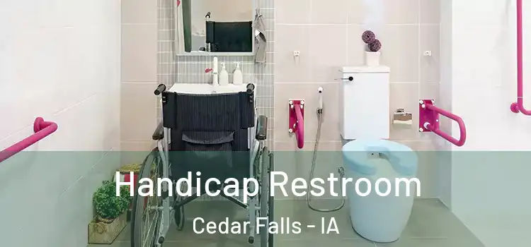 Handicap Restroom Cedar Falls - IA