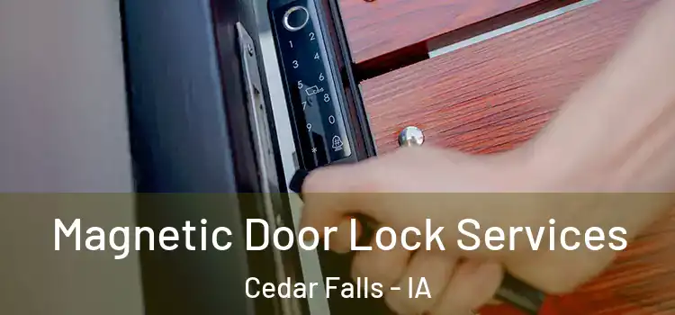 Magnetic Door Lock Services Cedar Falls - IA